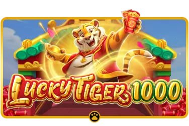 jj804