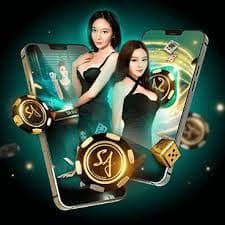 jj804